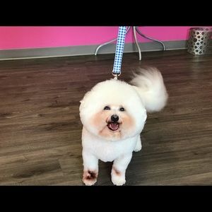 Meet your Posher, Dallas